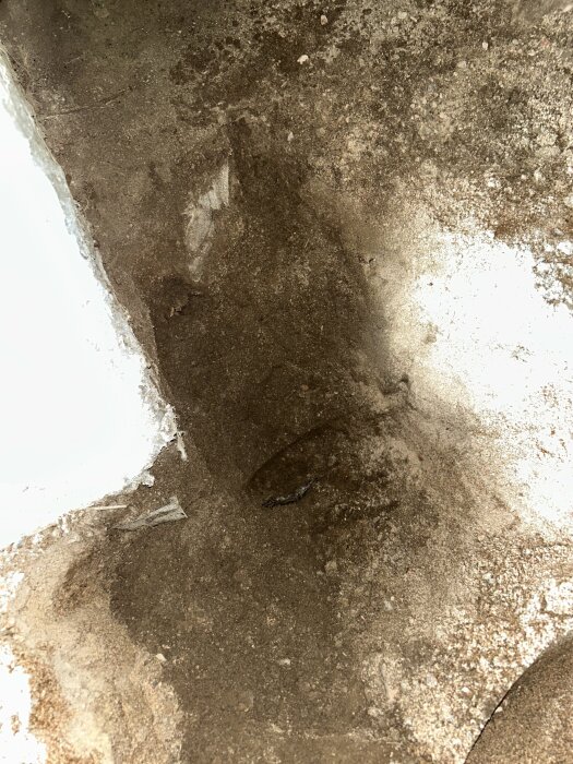 Jord och fukt på betonggolv i en källare, med en synlig våt fläck och vitmålad väggkant.