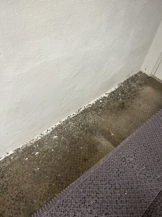 Fuktigt källargolv intill vägg, tecken på läckage eller bristande dränering, med synlig platonmatta delvis täckt av material.