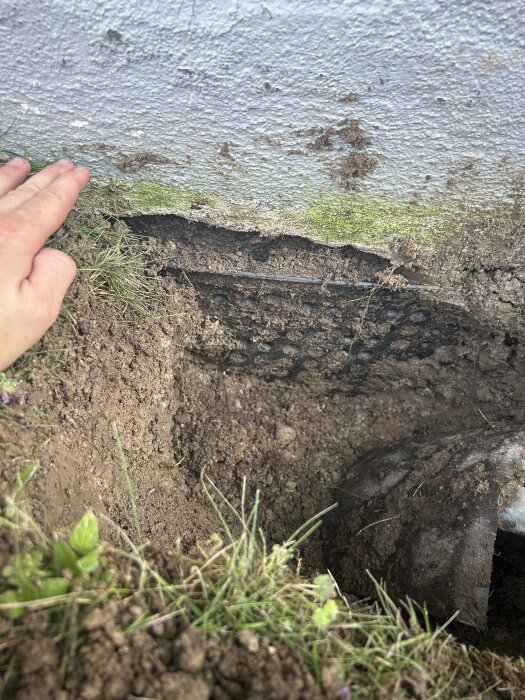 Jordhål vid husgrund med synlig platonmatta, utan övre list. Gräsmatta och växtlighet i kanten, hand vilar på jorden.
