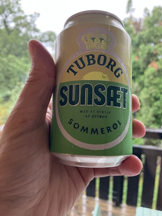 En hand håller en burk Tuborg Sunset Sommerøl med grön etikett, bakgrund med suddig grönska.