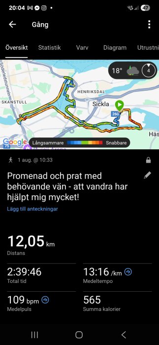 Skärmdump av en gå-applikation som visar en rutt på karta, distans 12,05 km, tid 2:39:46, medeltempo 13:16/km, 109 bpm medelpuls, 565 kalorier.