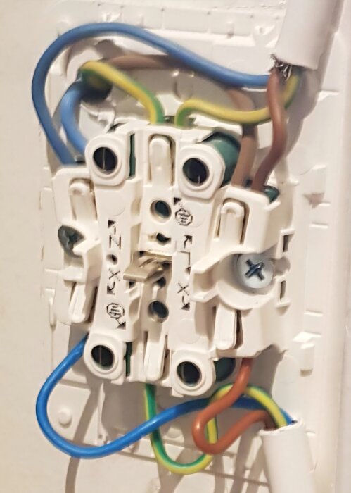 Elektrisk vägguttag med x-plintar, visar blå och bruna kablar anslutna separat på undersidan och ovansidan, ingen kontakt emellan.