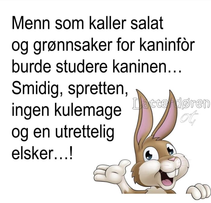 Tecknad kanin med text på norska om att män borde studera kaniner; beskriver kaninens egenskaper som smidig och energisk.