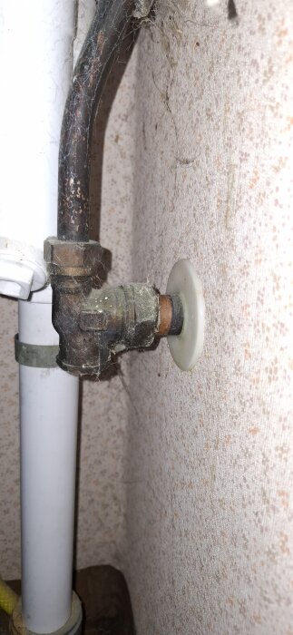 Rostig vattenledning med spindelväv intill en vägg med rosa och beige tapet.