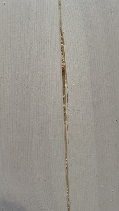 Glipa i massivt furugolv med ojämna kanter och synliga skador, troligen orsakad av fuktunderlag under installation.
