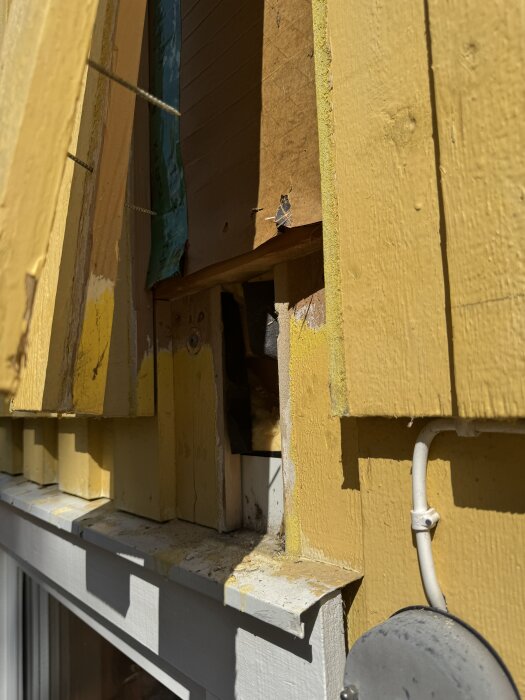 Närbild av gul lockpanel på husfasad, med synlig vindpapp och trästruktur under panelen.