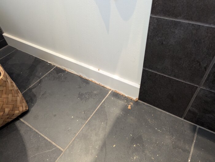 Fuktskadad trälist i badrum hörn, med mörk kakel på vägg och golv; visar slitage och potentiellt vattenskada.