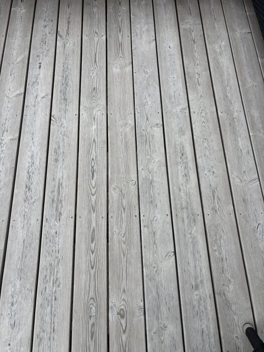 Grå och trärik altan med Sioo-behandling, synliga svartsporer och mögelpåväxt. Diskussion om rengöring och underhåll.