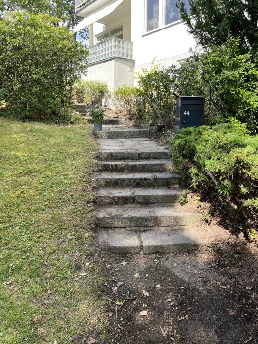 Stentrappa i en trädgård med mossa och jord på stegen, gräsmatta intill och en mörk brevlåda till höger, hus i bakgrunden.