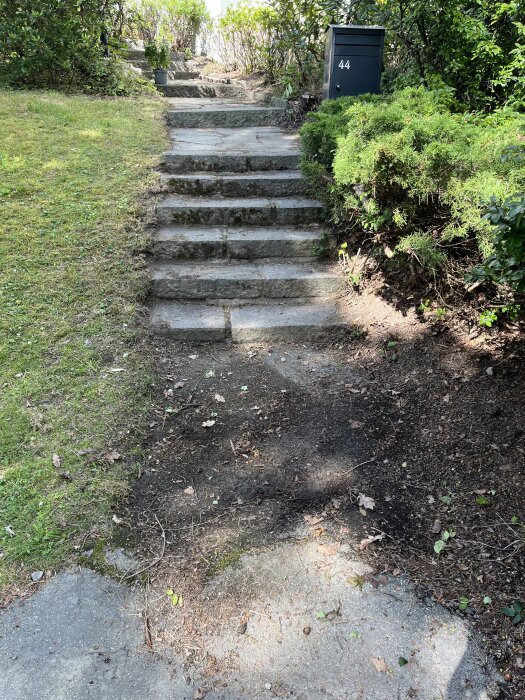 Stentrappa i trädgård täckt med jord och mossa, med överväxt gräsmatta längs kanterna, omgiven av buskar och en brevlåda.