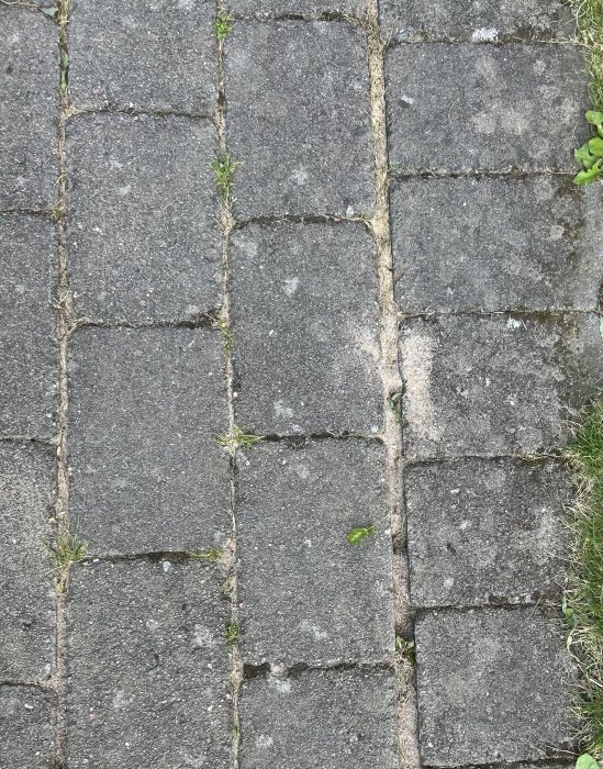 Stengång med stora mellanrum mellan plattorna, ogräs syns i springorna. Grå och delvis rengjord yta.