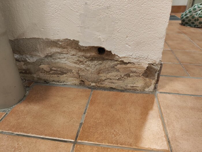 Skadad källarvägg med synlig fukt, avflagat puts och blottlagt tegel i hörnet, omgiven av brunt klinkergolv.