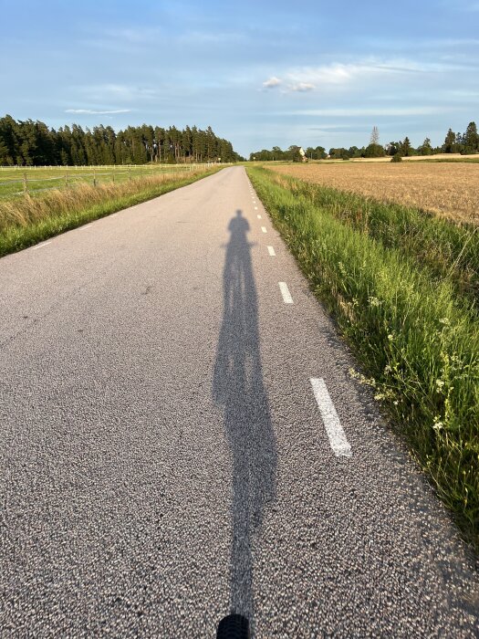 Skuggan av en cyklist projiceras på en landsväg i ett öppet, soligt landskap med fält på båda sidor av vägen.