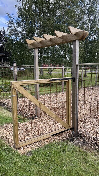 Trägrind med spaljé bredvid ett staket av metall och trä, omgiven av träd och träflis på marken.