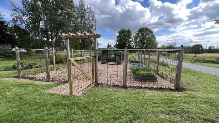 Grindöppning till inhägnad trädgård med träflisbelagd gång, odlingslådor och växthus, omgiven av grönt gräs och träd.