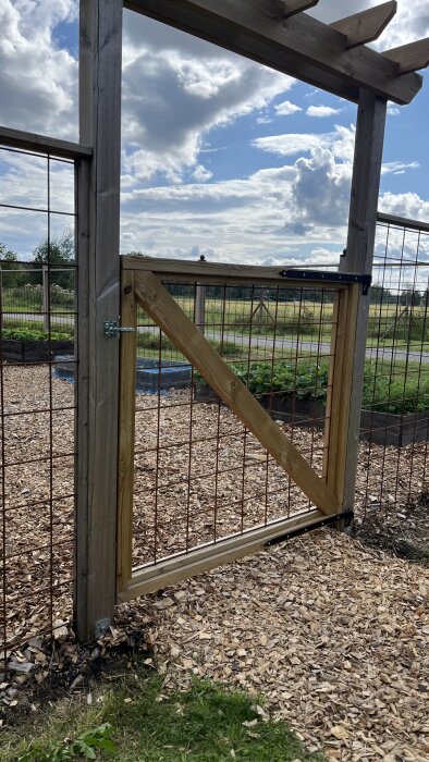 Trädgårdsgrind i trä med metalltråd, omgiven av staket och odlingsbäddar, med molnig himmel i bakgrunden.