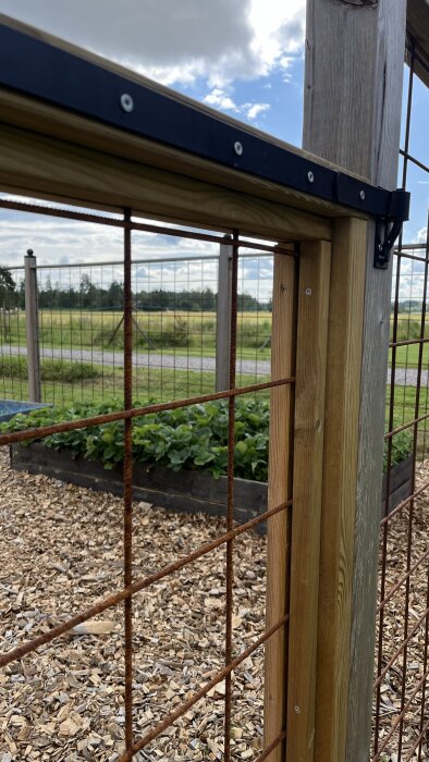 Staket och odlingslåda i en trädgård med flisad mark.