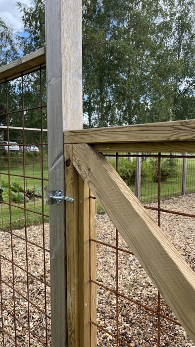 Trästaket och grind med metallnät, nybyggt, med en bakgrund av träd och trädgård.