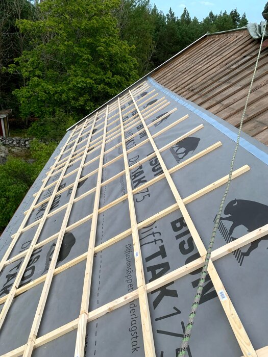 Diffusionsöppen takduk från Bison med ströläkt installerad på tak. Träden i bakgrunden.