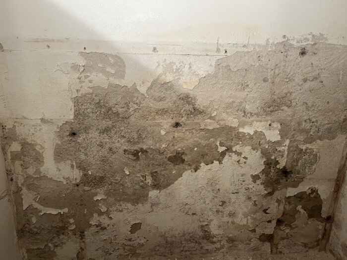 Betongvegg i kjeller med avflassende puss og tegn til mugg og fuktighetsskader, klargjort for renovering og oppussing.