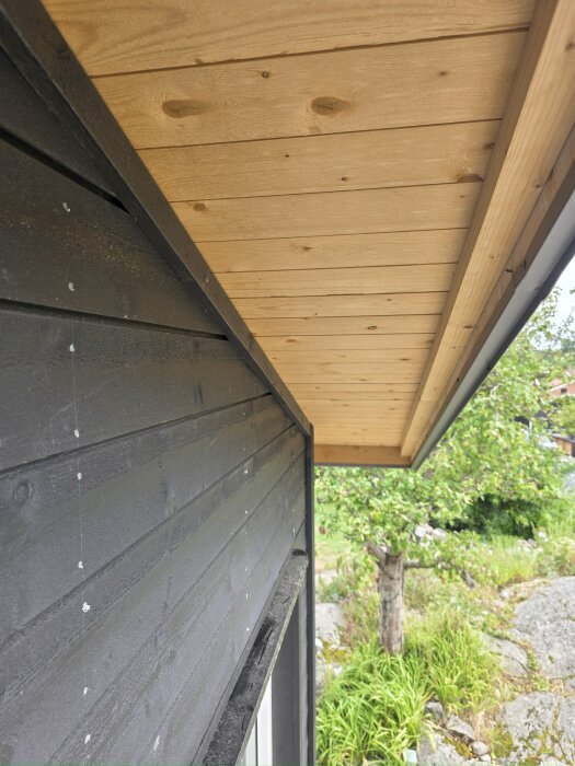 Trätakutsprång över svart fasad, träd och stenar i bakgrunden.