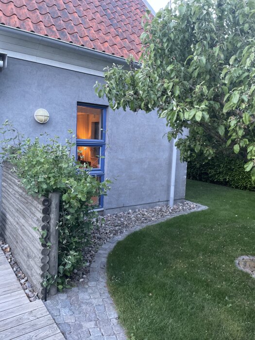 Gråputsad husvägg med mossa på taket, en trädgård med stenlagd gång och ett träd i förgrunden.