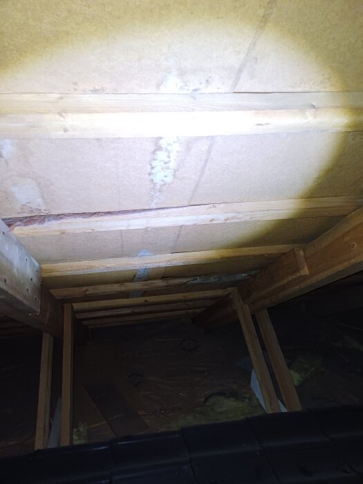 Fläckar på vinden med ljust mögel på träsvängar i ett 60-talshus under inspektion efter avvikande lukt och tidigare läckage.