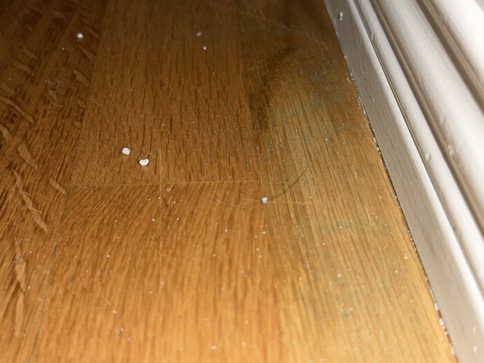 Golv med grönt dammliknande ämne vid golvlist i ett gammalt hus.