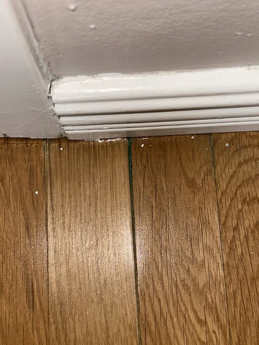 Golvbrädor i äldre hus med gröna partiklar vid springorna och en vit sockel i bakgrunden.