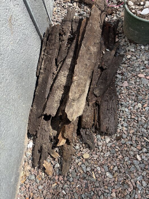 Hög med gamla, söndriga träplankor på grus bredvid en vägg.