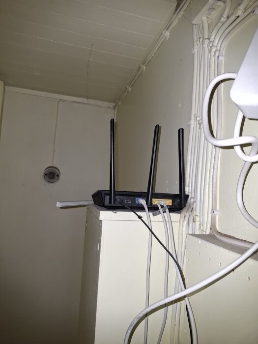 Router med tre antenner placerad högt i källartrappa, med flera kablar anslutna och ledningar längs väggen.