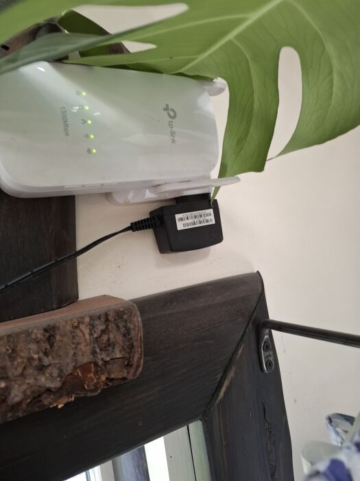 En TP-Link-enhet med antenner och lysande indikatorlampor placerad på en hylla bredvid en grön växt.