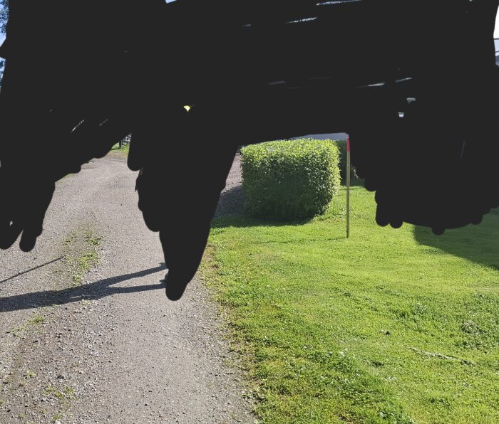 Grusväg med gräsmatta och en gränspinne i bakgrunden nära en buske.