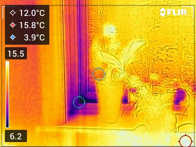 Termisk bild av ett fönster och en växt, visar temperaturvariationer från 3,9°C till 15,8°C, vilket indikerar potentiell isoleringsproblem runt fönstret.