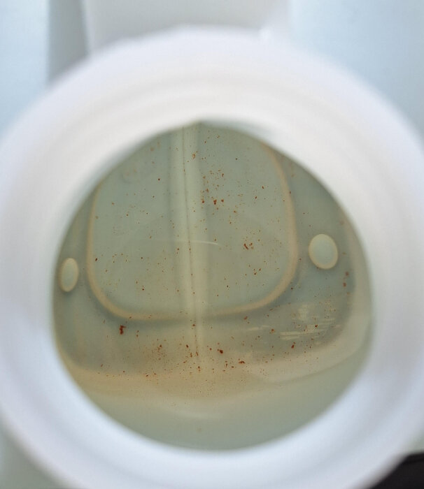 Insidan av en 20L vattendunk, innehållande vatten med spridda små partiklar.