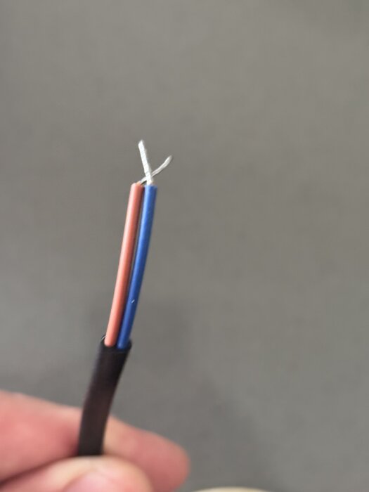 Brun och blå elektrisk ledning som hålls i handen, utan skydd, förberedd för installation.