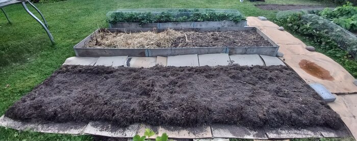 Grävprojekt i trädgård, jord och gräsbitar avlägsnade för att skapa en äng, två upphöjda odlingsbäddar med täckning av halm och nät.