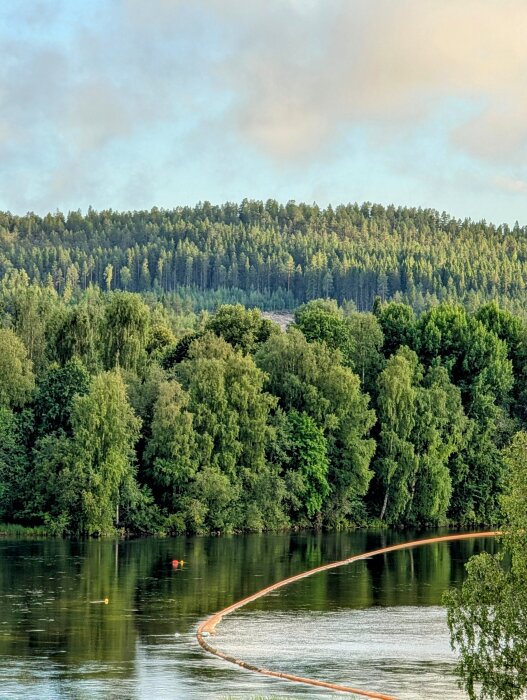Skogsbeklädd kulle vid en sjö med flytande bommar i vattnet och blå himmel i bakgrunden.