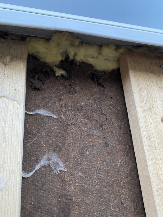 Obehandlat trä och masonitskiva med mögel och torr isolering under ett fönster, synliga tecken på slitage.