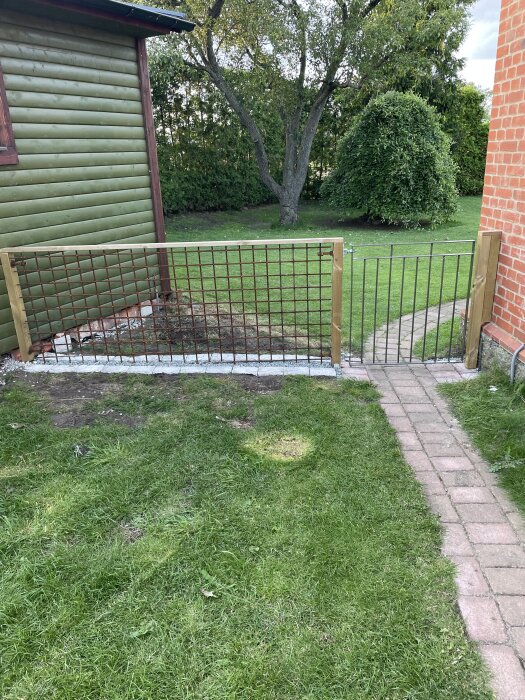Trädgård med nymonterat staket där armeringsnät har svetsats ihop, nära en gångväg och byggnad med grön fasad och röda tegelväggar.