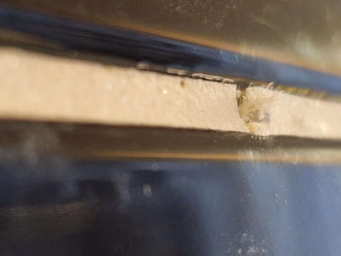 Närbild av ett skarvställe med vitt material och hårliknande struktur samt något grönt synligt i bakgrunden.