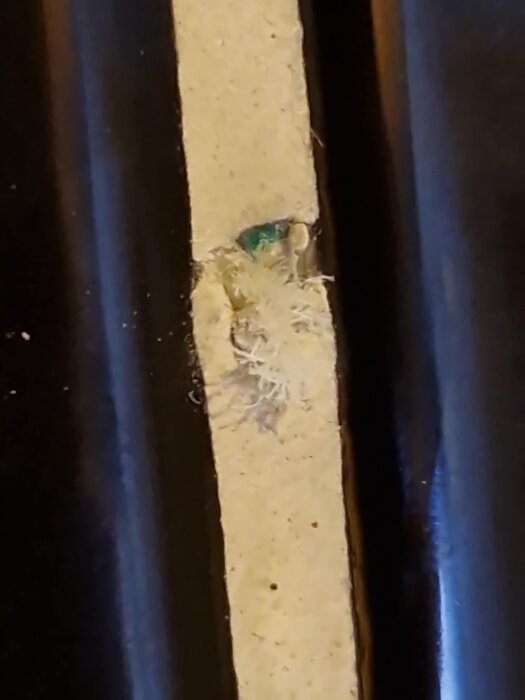 Brun yta med ljust hårliknande material och en grön fläck synlig bakom.