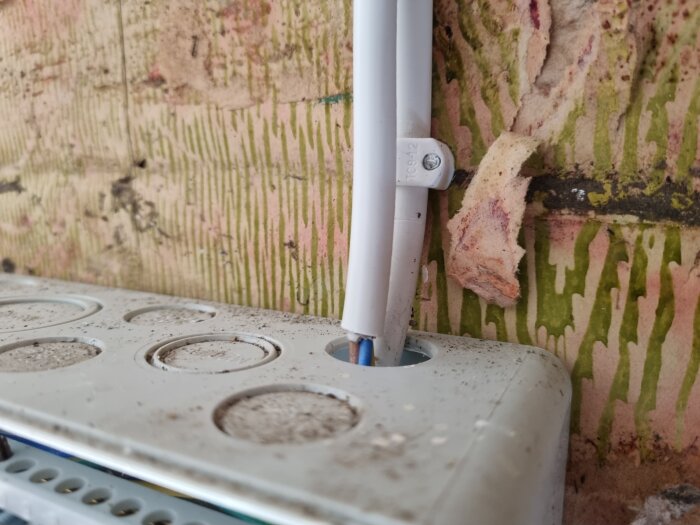 Sladd felpassad i en dosa mot en vägg med trasig tapet.