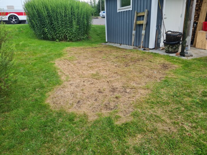 Sliten gräsmatta med döda fläckar, omgiven av grönt gräs, bredvid ett blått hus. Bakgrund med träd och en parkerad bil.