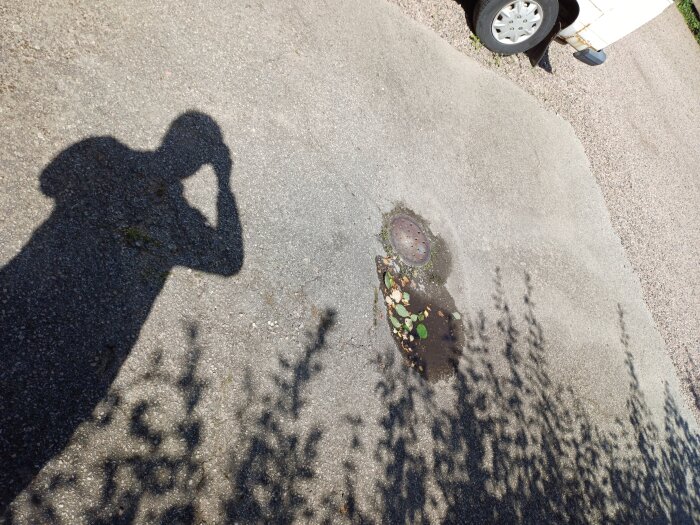 Asfaltyta med fördjupning vid brunnlock där vatten samlats. Skuggor av en person och buskar syns på marken.