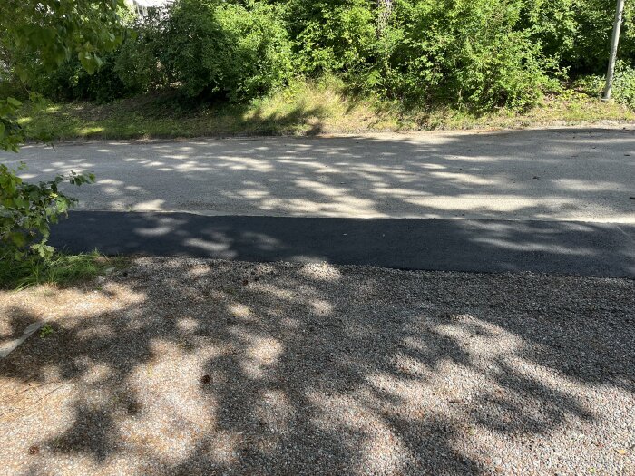 Nylagd asfalt på trottoaren, omgiven av grus och gröna buskar i solljus.