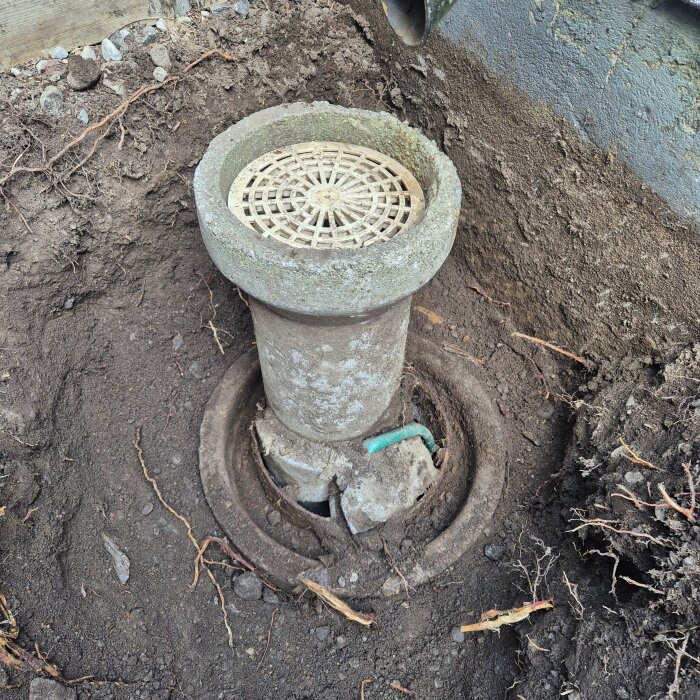 Cementrör stabiliserat med sten, slang och trasigt cementrör, grävt upp och omringat av jord. Letar efter ersättningsrör för ovansidan.