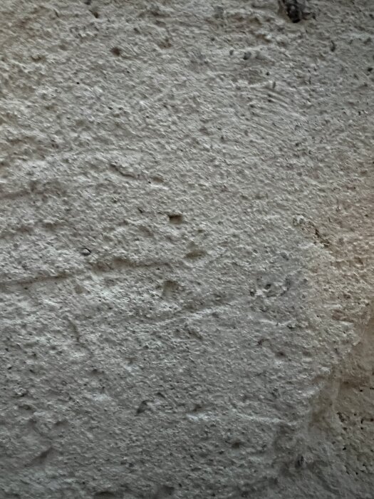 Pusset kjellermur, nærbilde av veggens overflate med mulig C-puss.