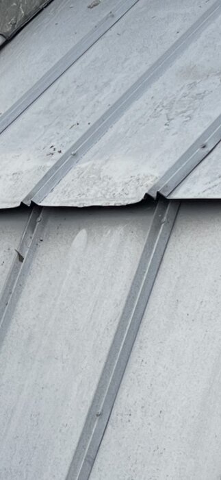 Plåttak med stående falsar, del av sommarstugans tak där användaren ska montera en takstege för sotning utan att punktera plåten.