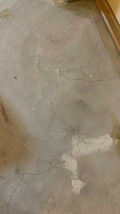 Sprickor i ett betonggolv i källaren, med flera synliga sprickor och färgvariationer på ytan.